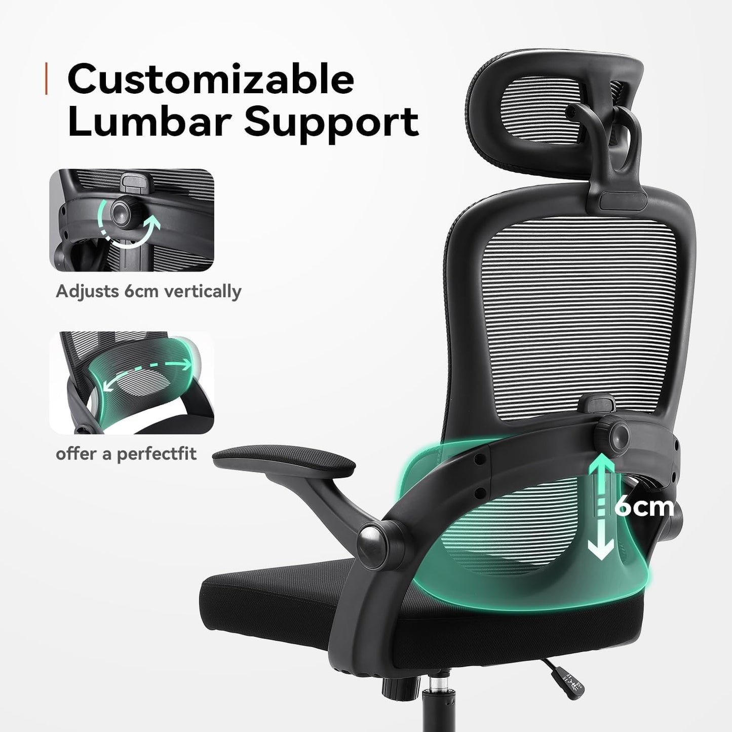 SIHOO M102C-M101 Ergonomic Office Chair, Computer High Back Chair with Dual Back Design - Individual Lumbar Pillow, 3D Armrests, Adjustable Headrest and Comfortable Thick Cushion (Black)