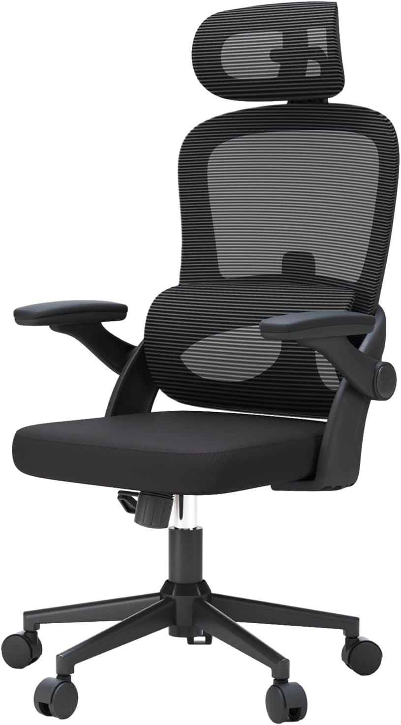 SIHOO M102C-M101 Ergonomic Office Chair, Computer High Back Chair with Dual Back Design - Individual Lumbar Pillow, 3D Armrests, Adjustable Headrest and Comfortable Thick Cushion (Black)