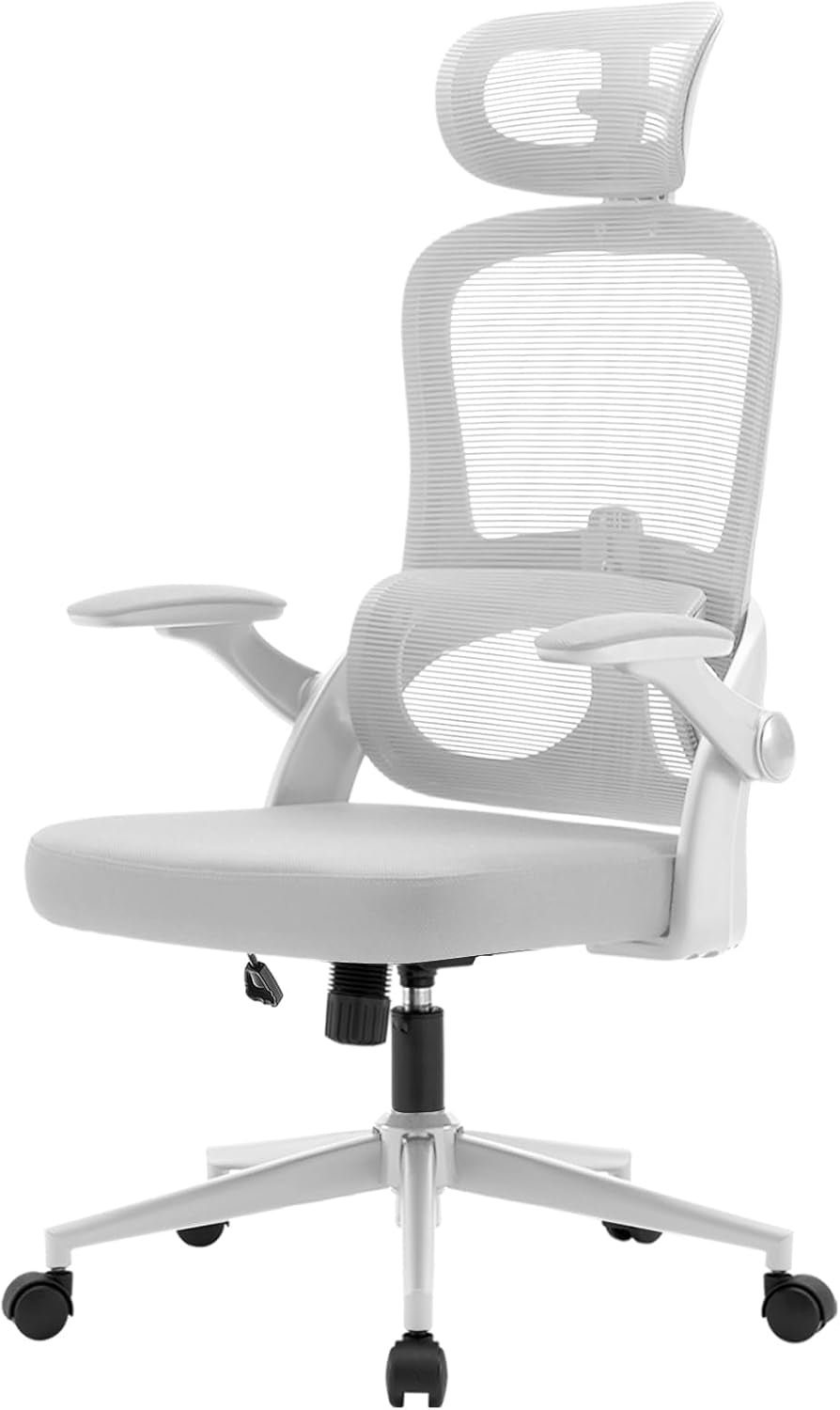 SIHOO M102C-M101 Ergonomic Office Chair, Computer High Back Chair with Dual Back Design - Individual Lumbar Pillow, 3D Armrests, Adjustable Headrest and Comfortable Thick Cushion (Black)