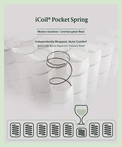 Zinus Support plus Queen Mattress, Icoil Pocket Springs Eurotop/Firm Plush Foam, 10Yrs Warranty, Medium Feel Bed