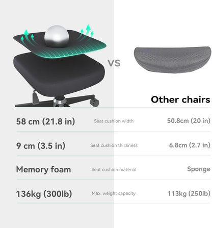 SIHOO M102C-M101 Ergonomic Office Chair, Computer High Back Chair with Dual Back Design - Individual Lumbar Pillow, 3D Armrests, Adjustable Headrest and Comfortable Thick Cushion (Black)