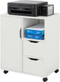 Sobuy Home Office Trolley File Storage Cabinet Printer Stand on Wheels FBT105-W